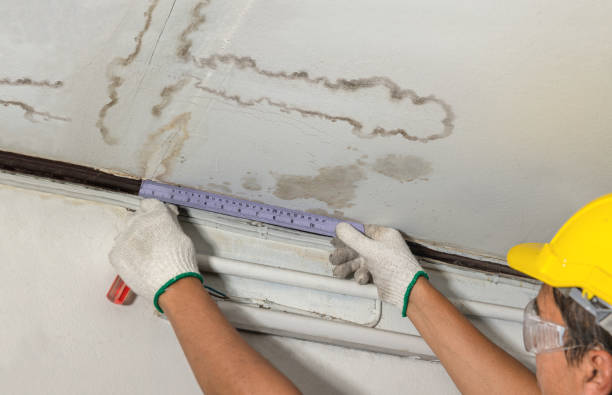 Reliable Burst Pipe Cleanup contractor in O'Fallon, MO by Water Damage Irwin